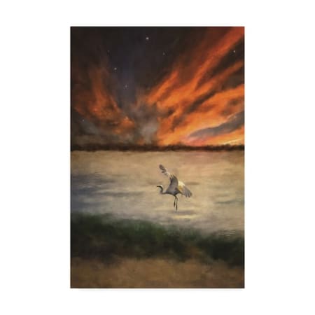 Trademark Fine Art Lois Bryan 'White Egret at Sunset' Canvas Art, 22x32 LBR00357-C2232GG